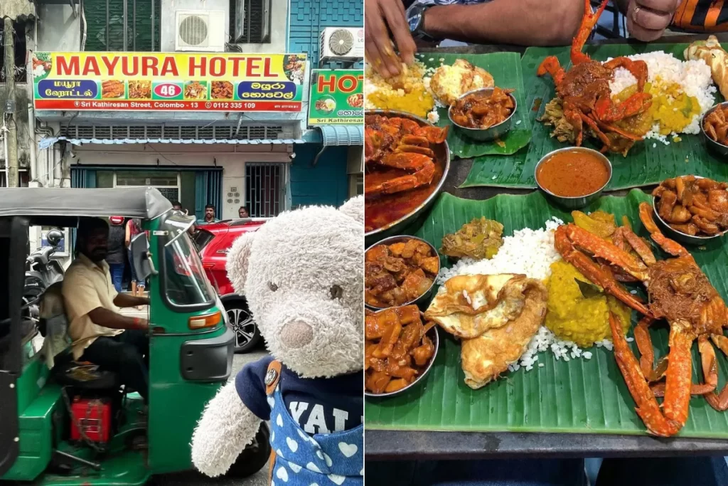 Mayura Hotel and Foods They Serve