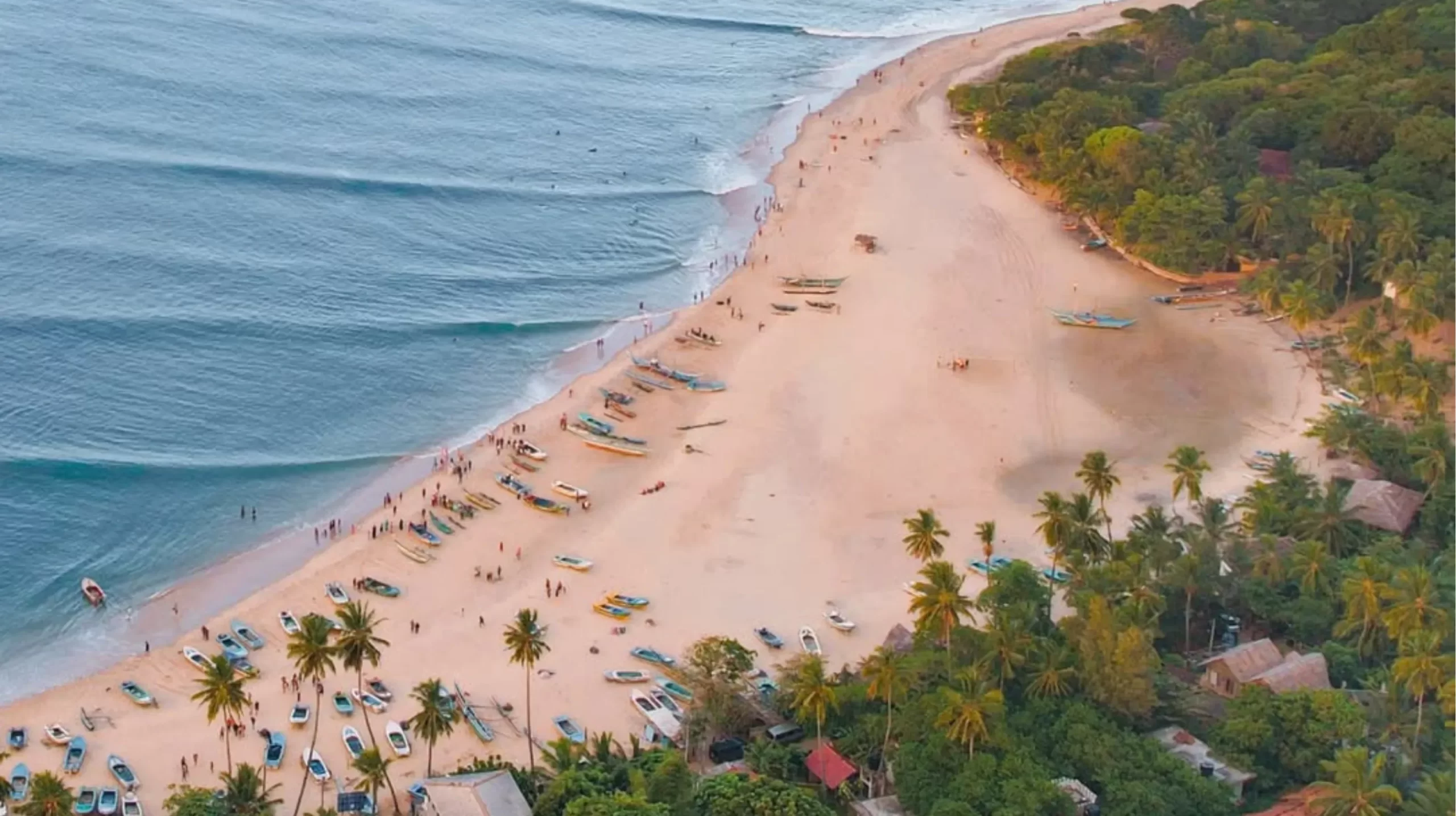 Arugam bay