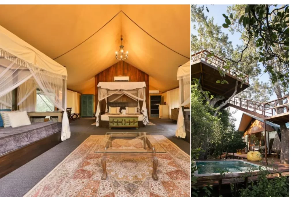 Tribe Yala - Luxury Camping