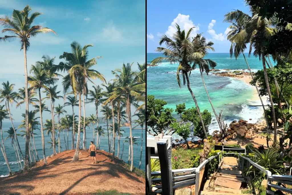 Coconut Tree Hill and Mirissa Secret Beach