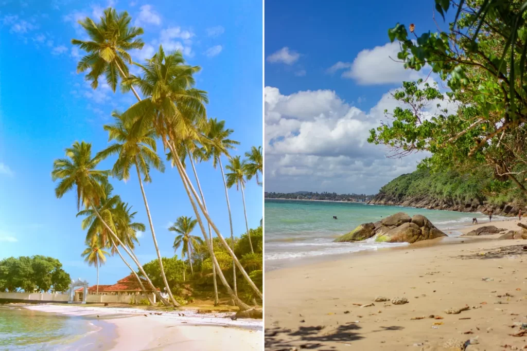 Palm beach unawatuna