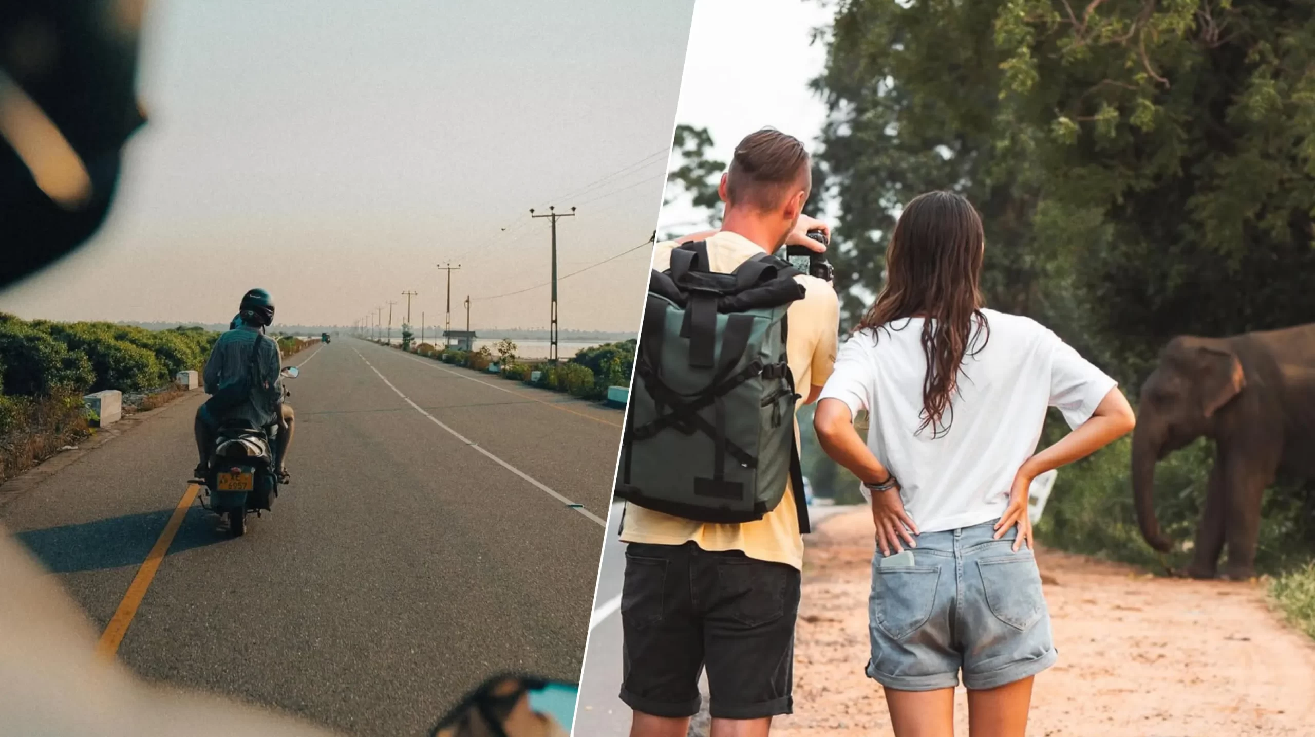 Backpacking In Sri Lanka