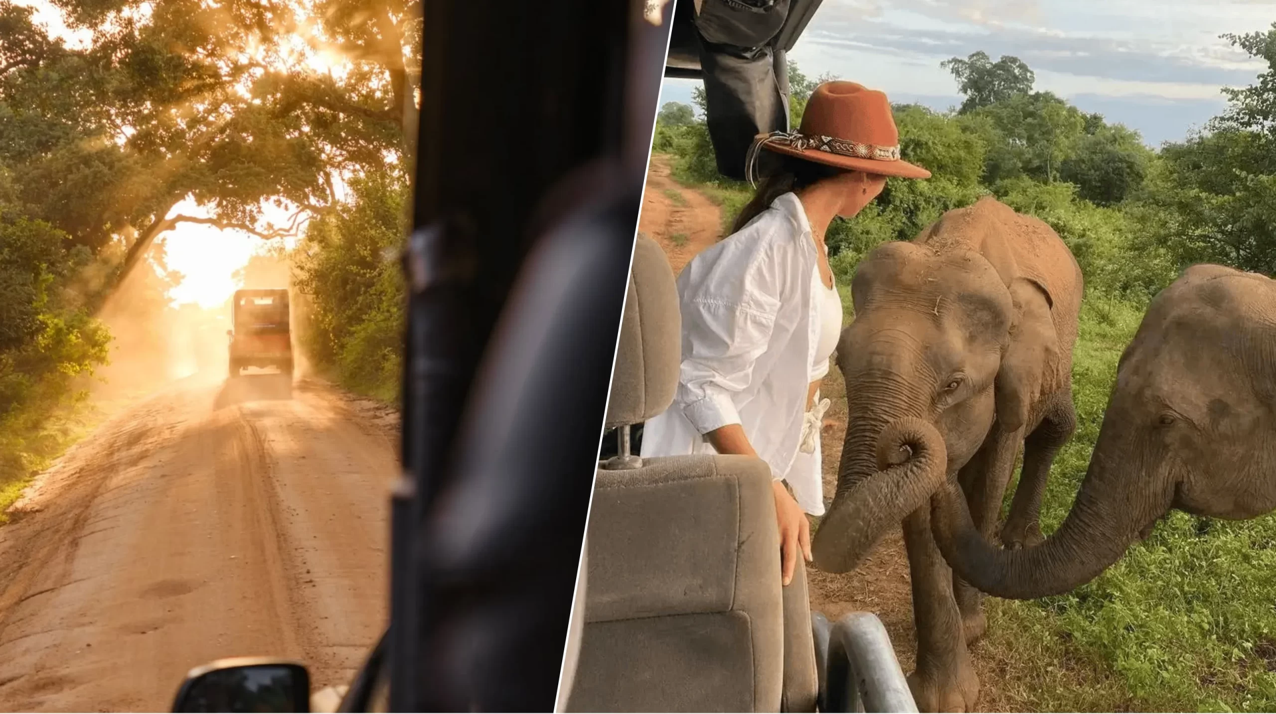 Safari in Sri Lanka