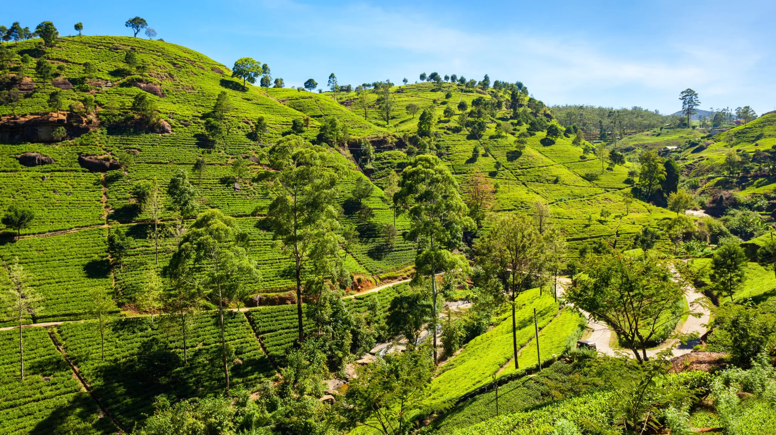 SLHG Hero Image Nuwara Eliya