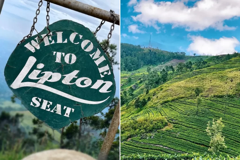 Lipton’s Seat