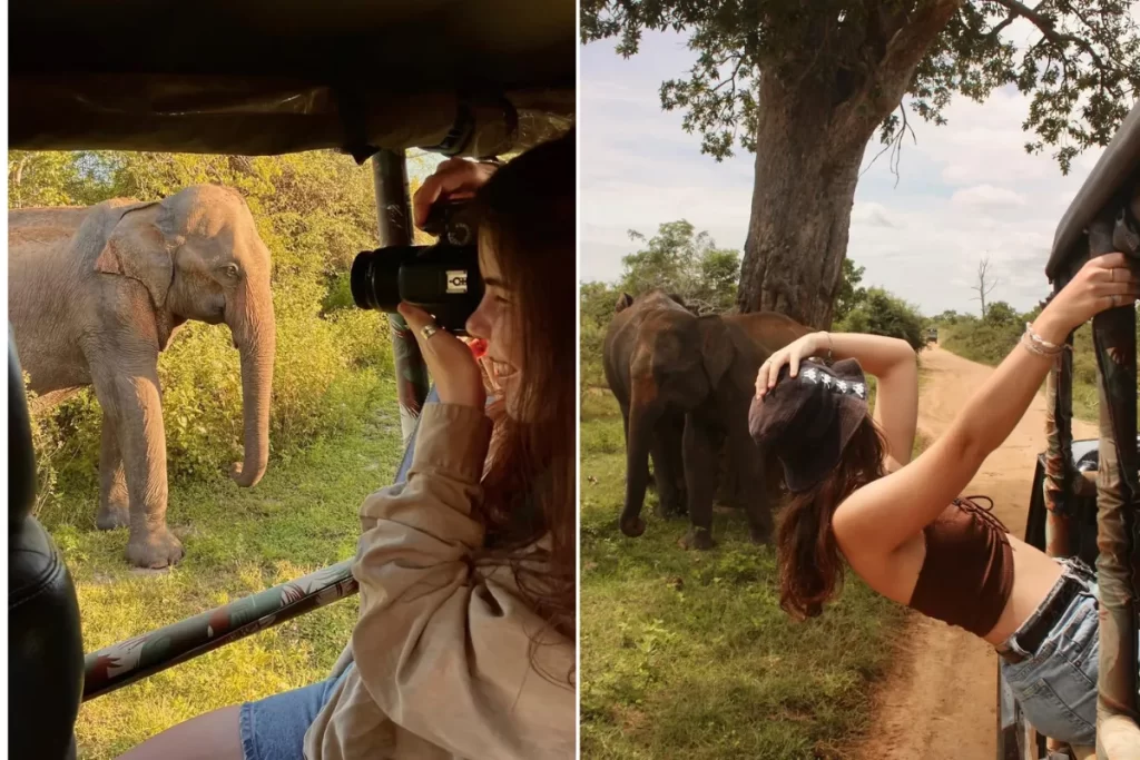 Tourist in Udawalawe National Park
