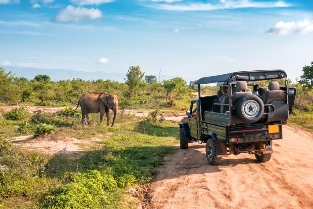Udawalawe National Park safari vehicle and elephant