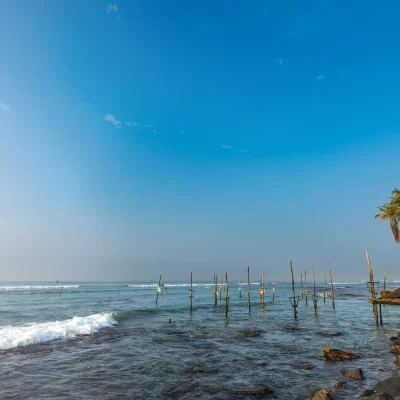 Empty fishermen's sticks in ocean, Weligama bay, Sri Lanka