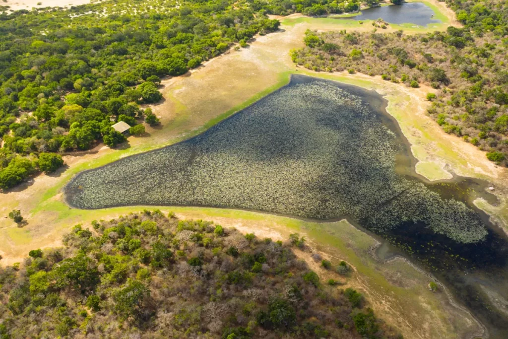 Kumana National Park Aerial VIew