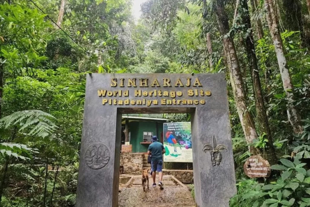Sinharaja Pitadeniya Entrance