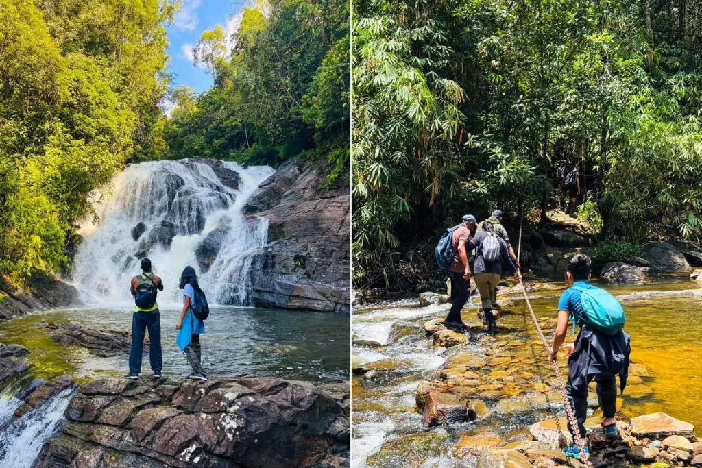 Trekking in Sinharaja