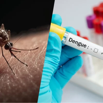 Mosquito Biting Human Skin Macro Shot and Blood sample with dengue