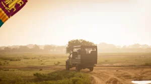 Yala National Park Safari