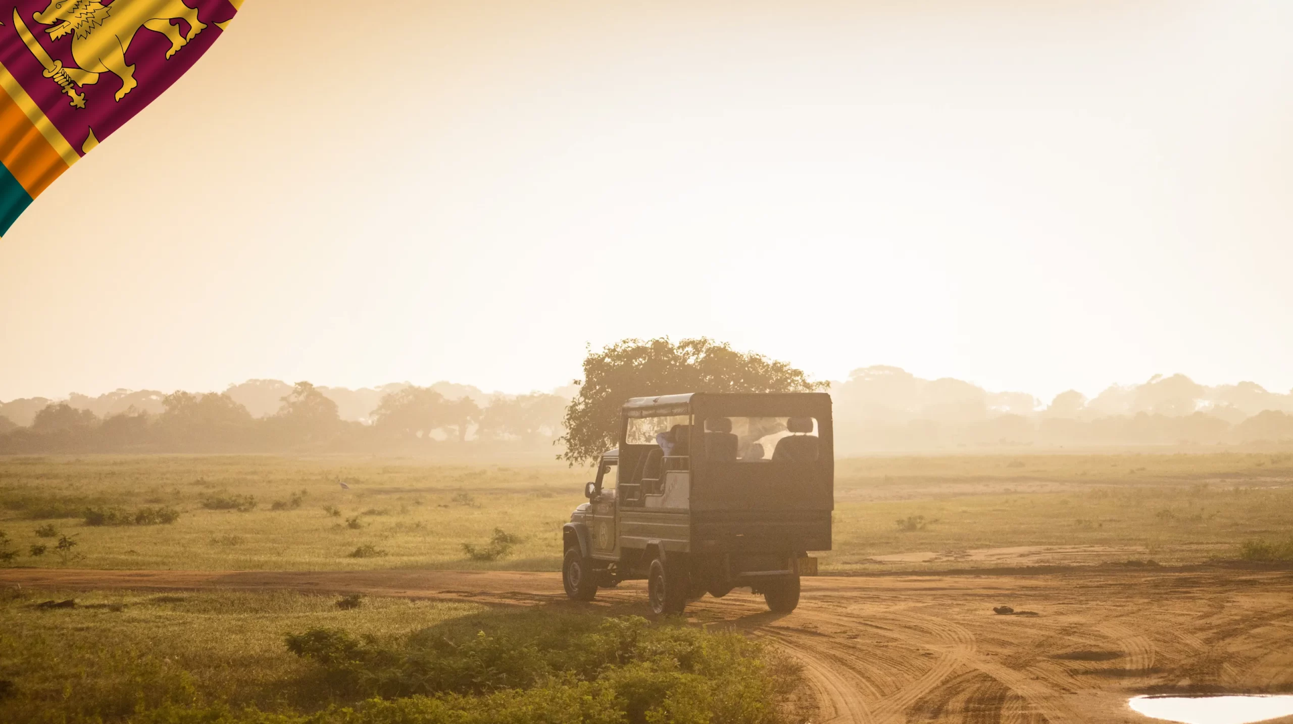 Yala National Park Safari